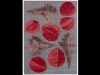 autum_leaves_picture_gallery_full